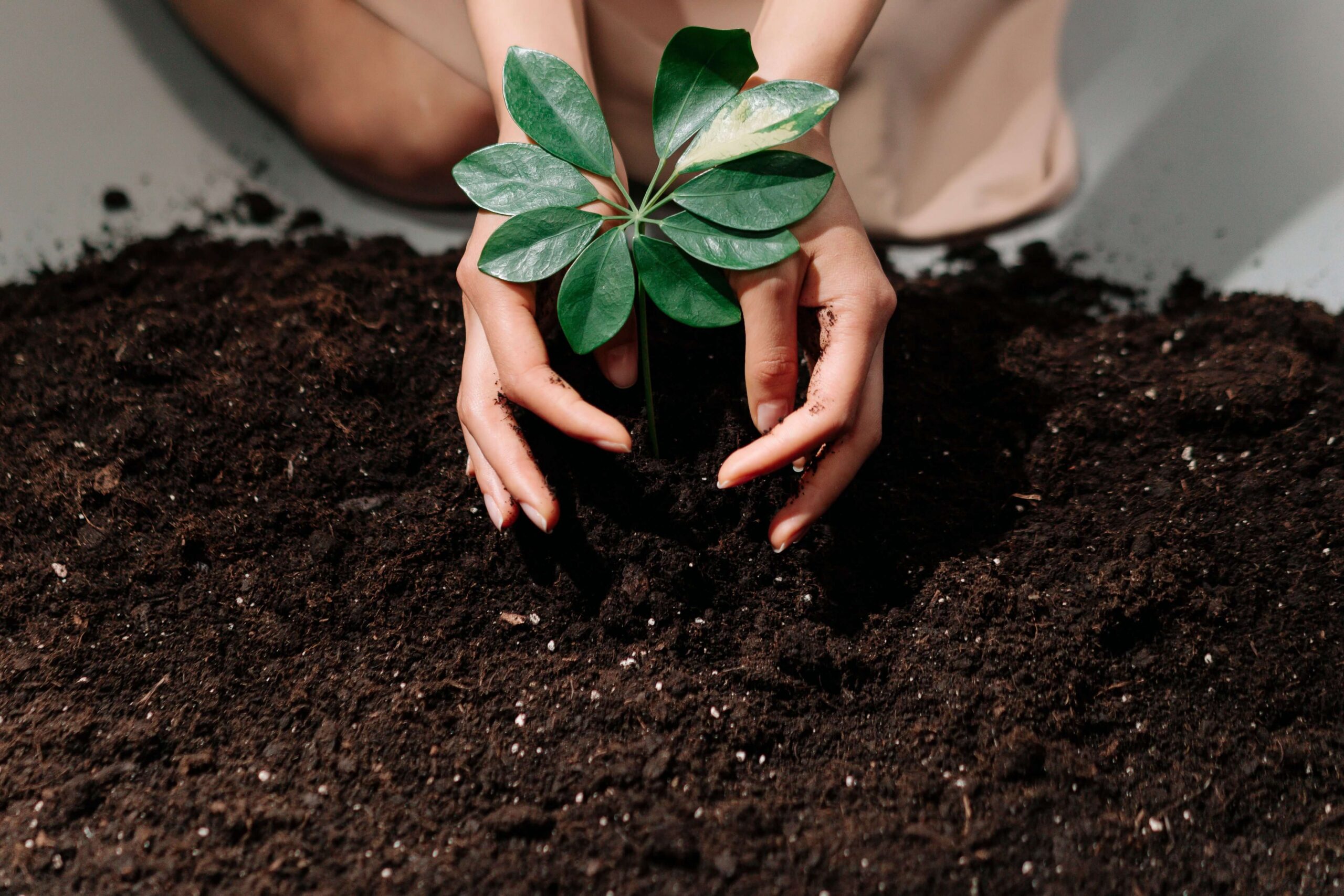 TillingSoilBlog